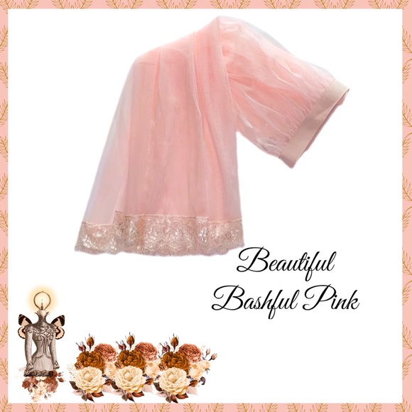 Easel Femme Ballet Inspired Sheer Slip in Bashful Pink - Picture 2 of 4